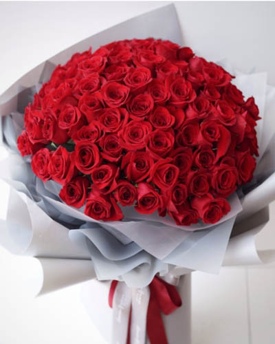 rose1 rose1